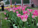 Файл: PICT0110.JPG
Объем: 161КБ
Размеры: 800x600
Дата: Май 27, 2005 PICT0110.JPG
